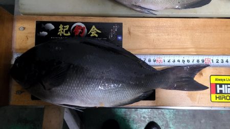 DAIWAマスターズ　ブロック大会　勝浦に…